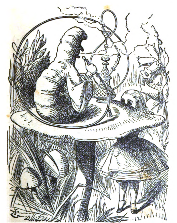 Alice looking up at the Caterpillar on the mushroom.