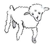 The pilot’s drawing of the sheep with drooping ears.
